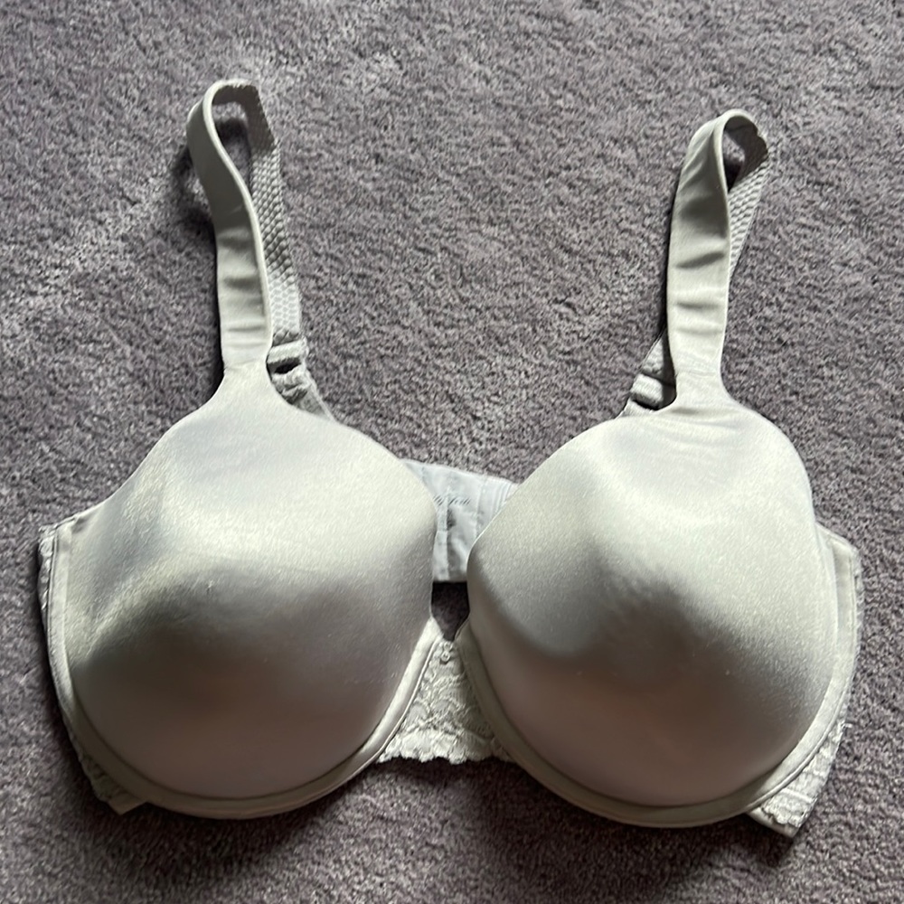 38D Vanity Fair Silver Underwire Bra